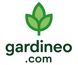 Zur Startseite gehen